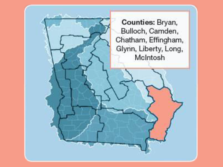 Coastal Georgia regional map