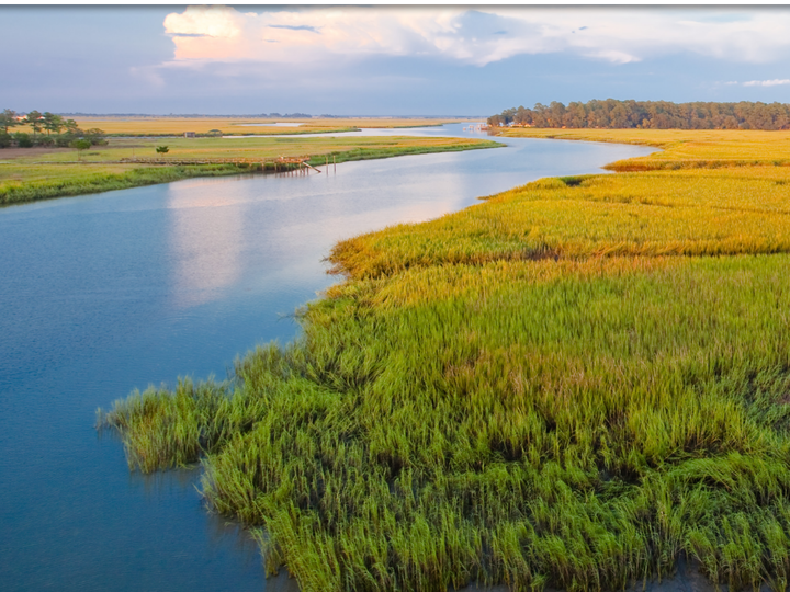 Coastal Georgia Regional Report Cover