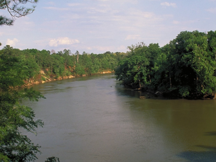 Lower Flint-Ochlocknee River 