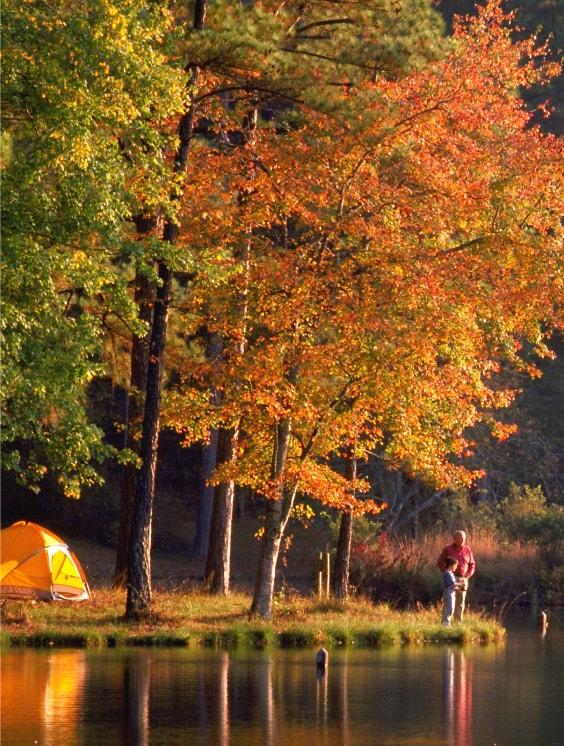 2.0 Future Water and Wastewater Needs highlights-regional-FDR-camping.jpg