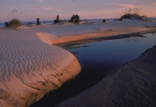 1.3 Meeting Georgia’s Water Resource Challenges highlights-regional-cumberland-island.jpg