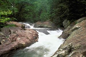 Coosa-North-Georgia_Waters-Creek_300x200.png