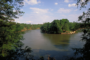 Lower Flint-Ochlockonee Region at a Glance Lower-Flint-Ochlockonee_Flint-River-in-Baker-County_300x200.png