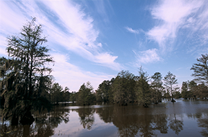 Upper Flint Region at a Glance Upper-Flint_Georgia-Veterans-State-Park_300x200.png